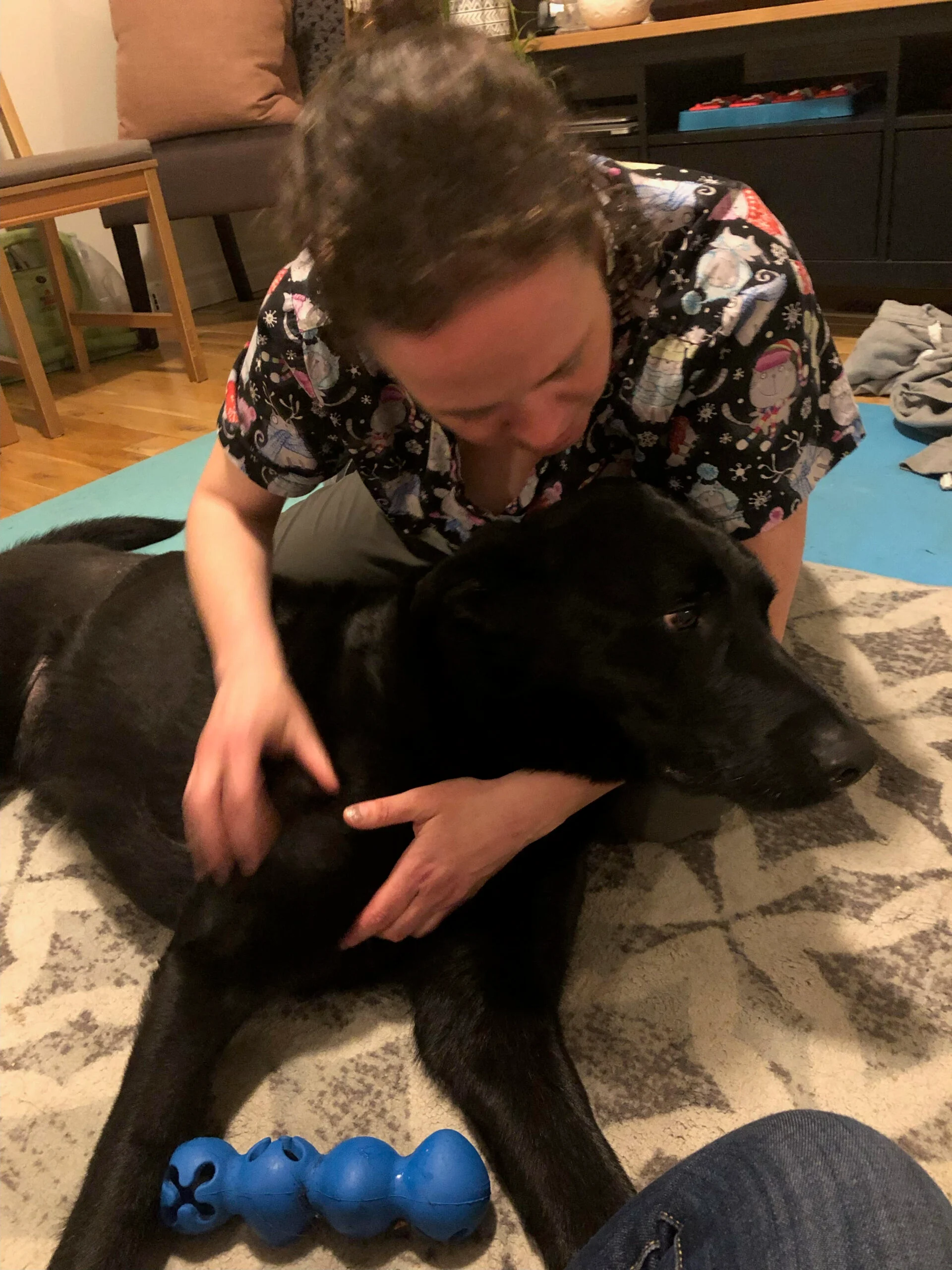 Josees ANimal Wellness Services - Puppy patient Django