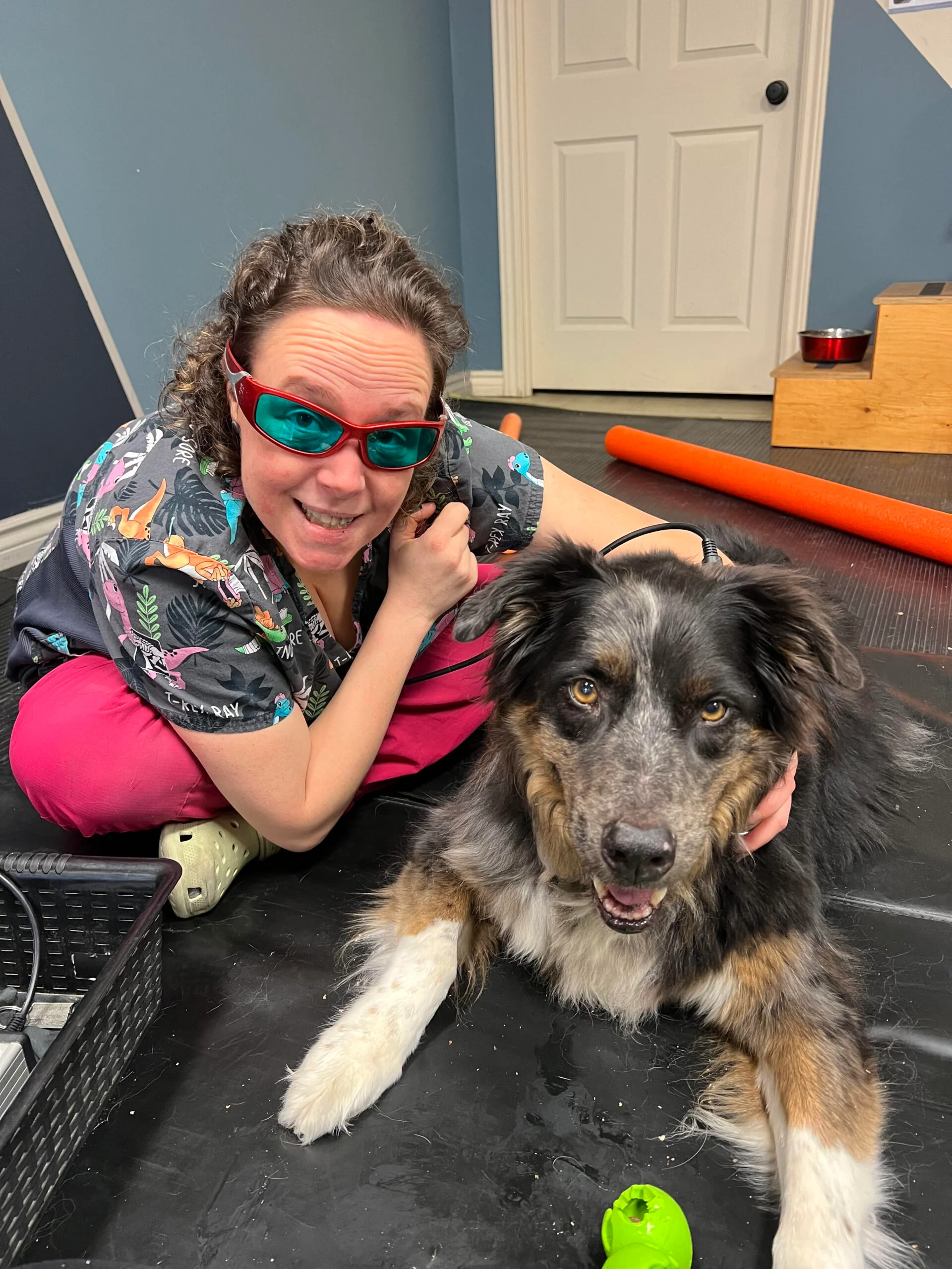 Josees Animal Wellness Services puppy patient Murray